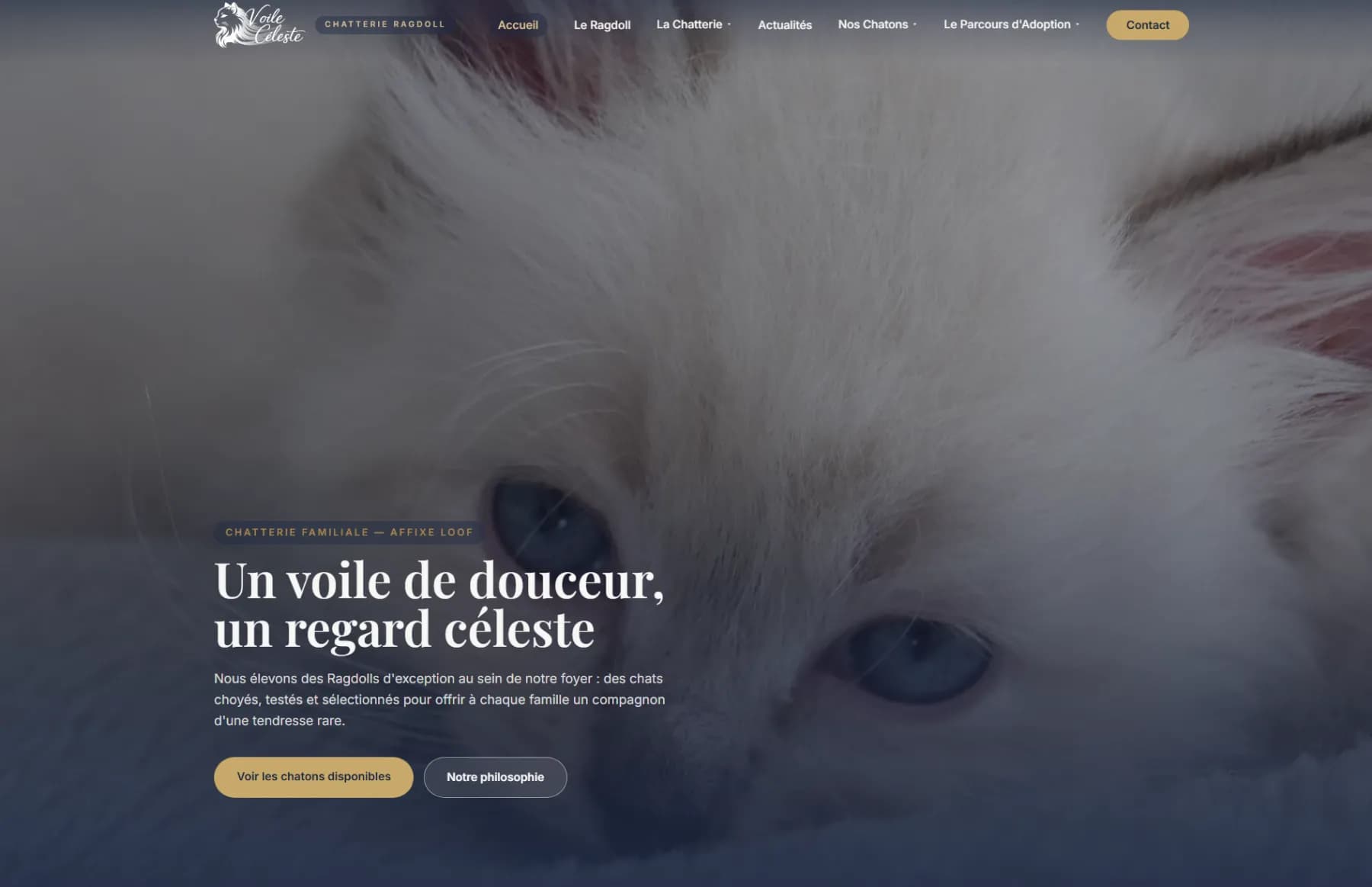 Aperçu du projet — Chatterie Du Voile Céleste
