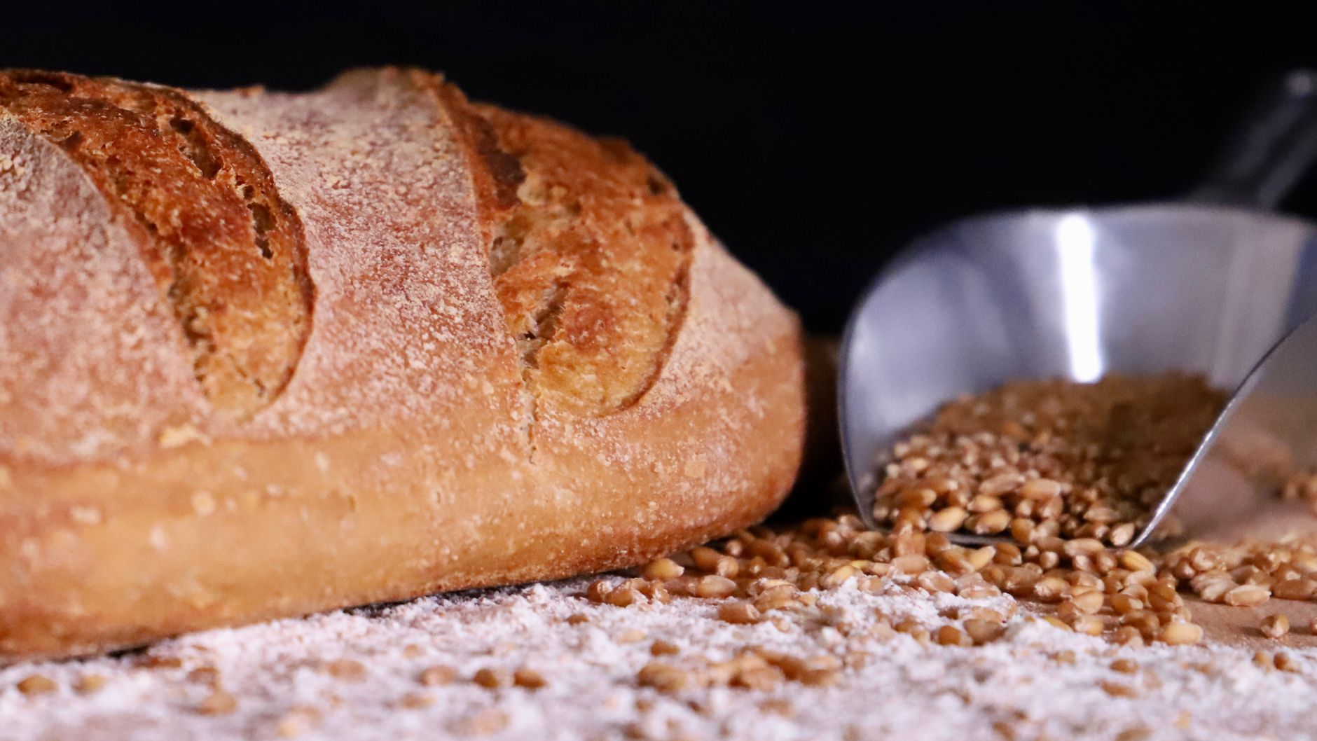 Tourte de meule au levain, croûte farinée